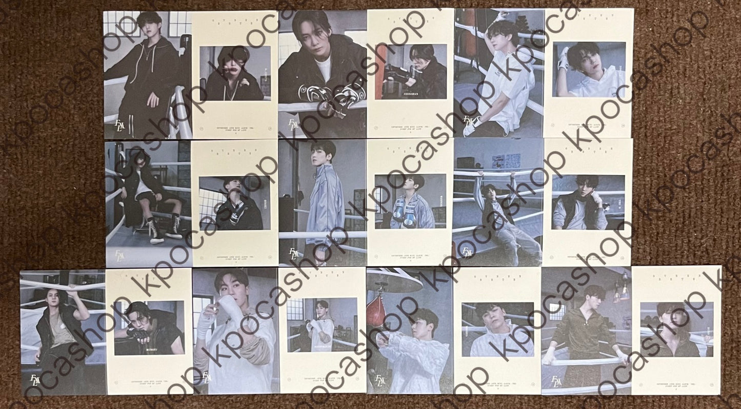 SEVENTEEN - FML (Ver 3. Fight for my life ver. sticker)