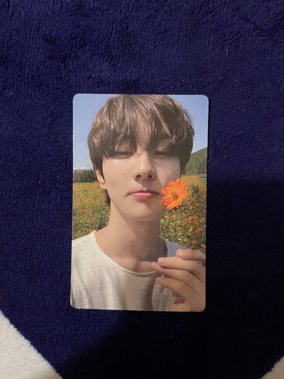 ENHYPEN - Orange Blood (Weverse Album ver.)