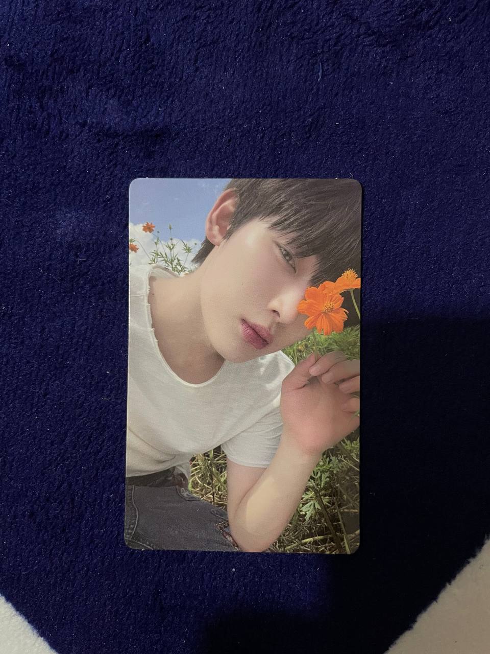 ENHYPEN - Orange Blood (Weverse Album ver.)