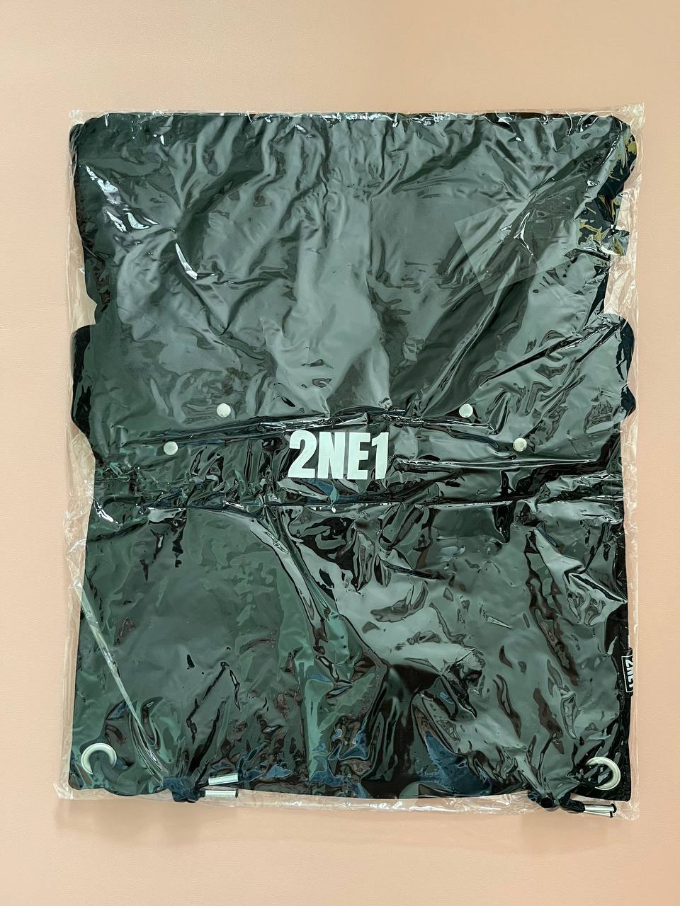 2NE1 - Welcome Back Encore In Seoul Official MD (Wing String Backpack)