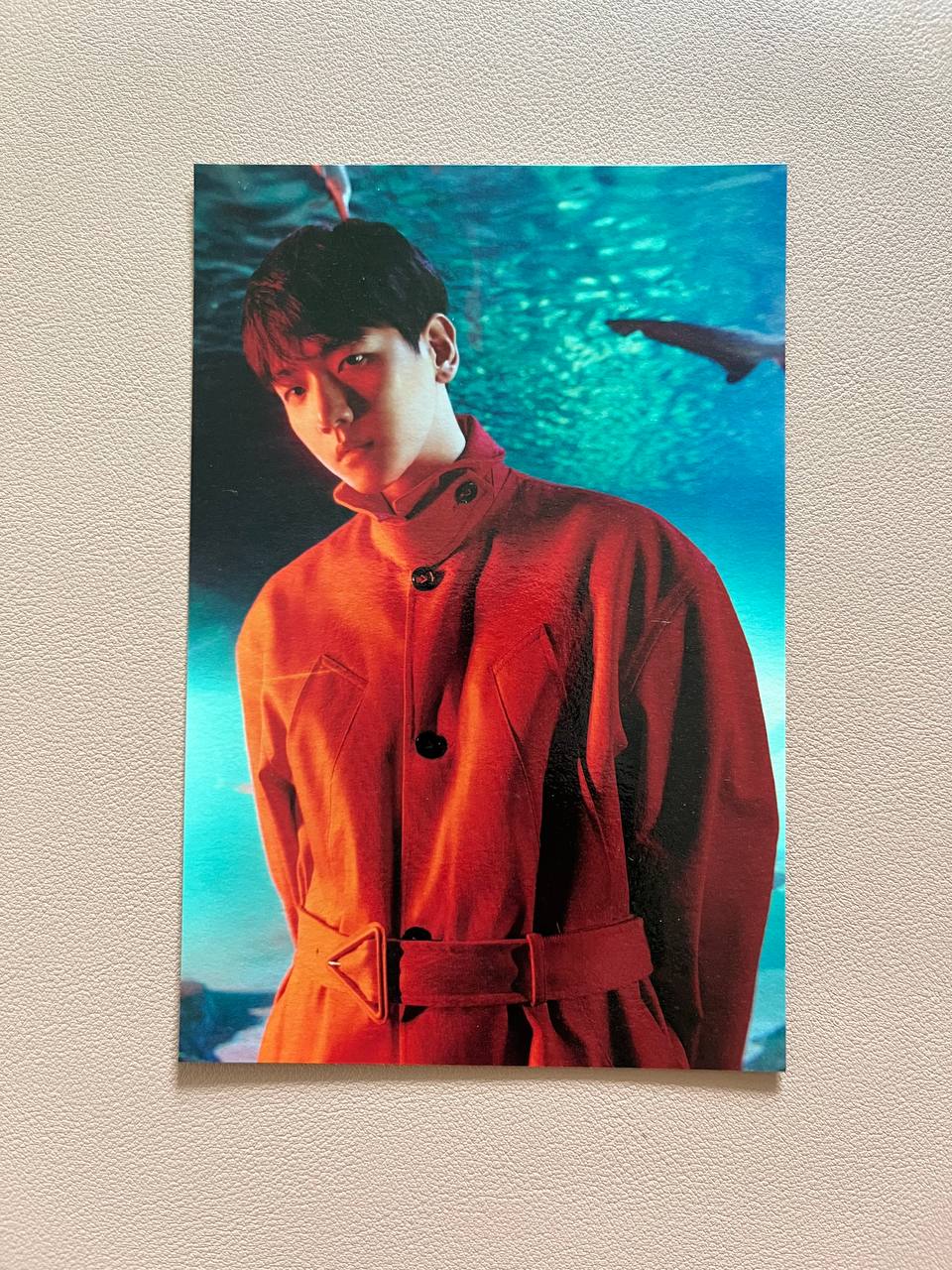 EXO BAEKHYUN - BAMBI (PHOTOBOOK VER.) (Official Postcard, Sequence Film)